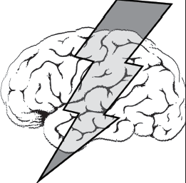 ILLUSTRATION: MARISSA DIERCKS