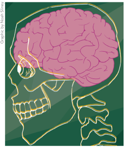 What concussions are, how to recognize one and why student athletes should care about them